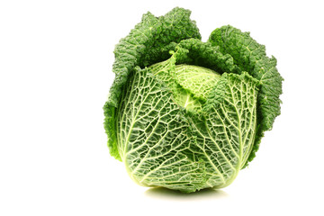 green cabbage on a white background