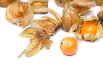 physalis