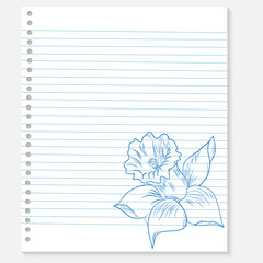 sketch of a flower on notebook sheet
