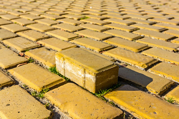 Yellow brick in pavement, one is standing out