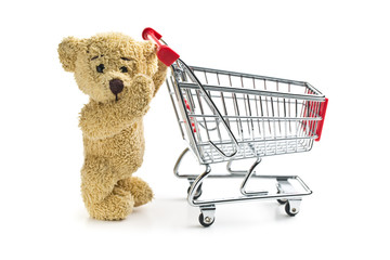 teddy bear with shopping cart