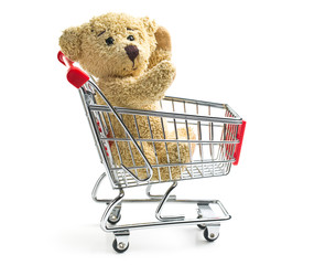 teddy bear with shopping cart