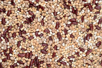 assorted dried bean background