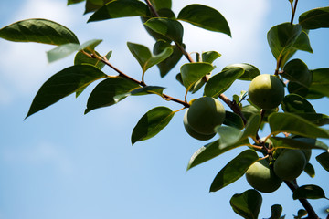 자연풍경이미지