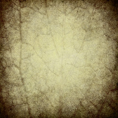 grunge background