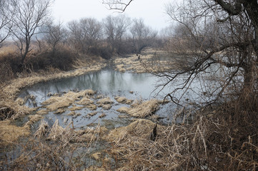 Obraz premium 풍경이미지