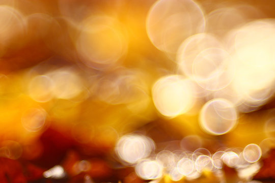 golden orange autumn background blur bokeh, defocusing lens