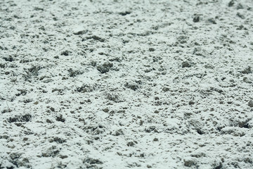 frozen grass and ground frost in winter