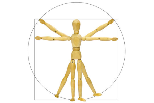 Vitruvio mannequin