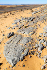 old fossil in