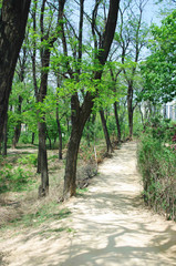 Fototapeta premium 풍경이미지