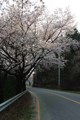 Obraz premium 풍경이미지