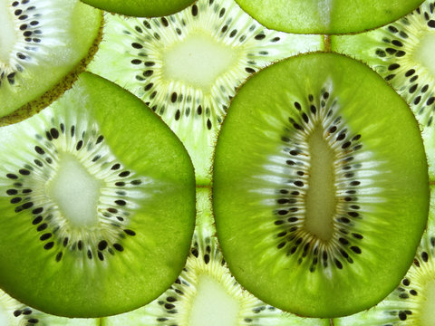 many fresh kiwi slices lit from below