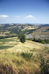 Campagna di Canossa, Panorama