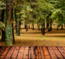 Fototapeta premium Autumn forest with and wood planks floor