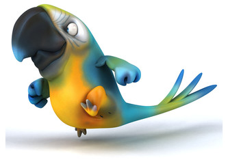 Fun parrot © Julien Tromeur