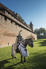 Naklejka na ściany i meble Teutonic Knight, Malbork. Poland