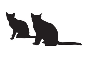 black silhouettes of cats