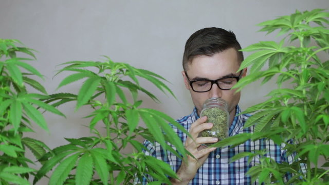 Salesman with Cannabis products smelling Marijuana