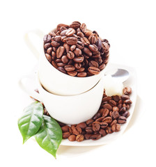 Coffee beans in cup