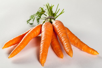 Fresh carrot