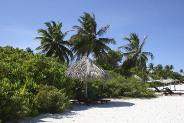 Obraz premium 해변이미지