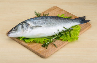Raw seabass