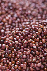 Red Beans Background