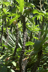 모리셔스이미지