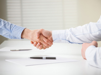 Successful business people making agreement