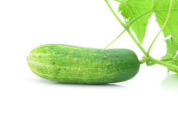The green cucumbers isolated on white background