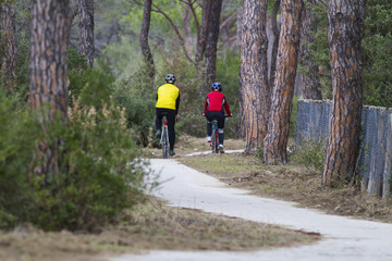 Obraz premium Cycling