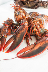 Crustacean