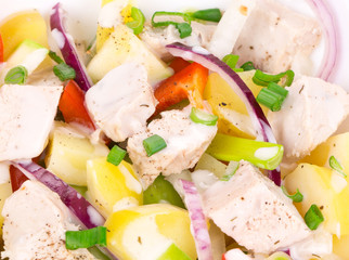 Warm meat salad with vegetables