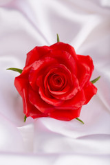 red rose on a white satin fabric