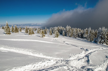 Fototapeta premium Transylvania winter , Harghita mountains