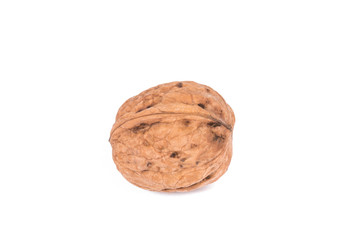 Whole walnut.