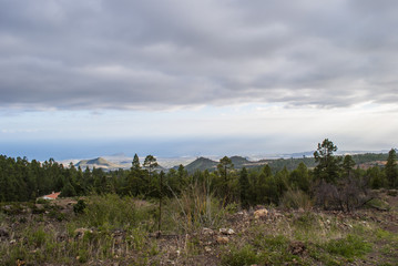 Mountain range - forest