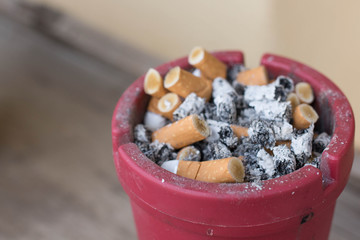 cigarette butt