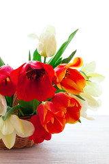 Bouquet of spring flower tulips