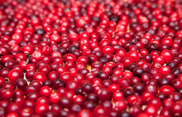 Cranberries background