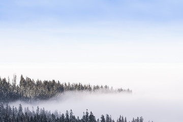 Alpen und der Winter