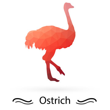 Ostrich with triangles of different colors. Raster