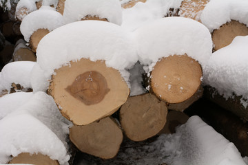 wood and snow