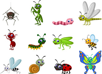 insect cartoon collection - 79029848