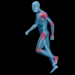 3D human man anatomy with articular pain