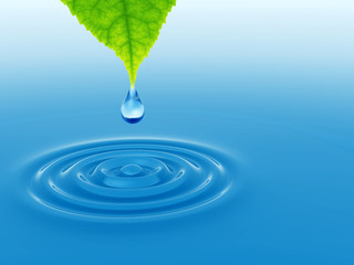 Naklejka na ściany i meble Green leaf with water drop and ripple