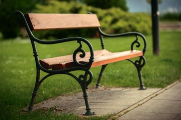 Stylish bench in autumn park