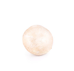 Fototapeta premium Champignon mushroom