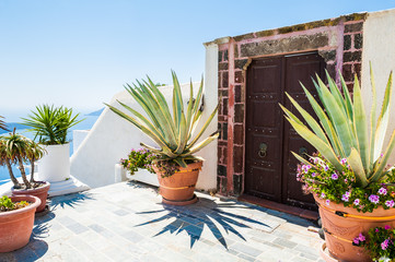 National Greek architecture, terrace with flowers